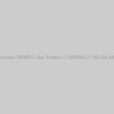 Image of Human SPARC Like Protein 1 (SPARCL1) ELISA Kit